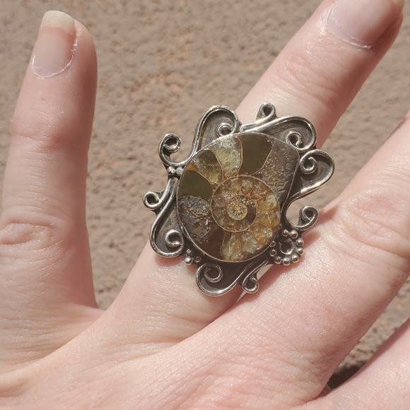 New Unique Ammonite 925 Silver Ring. - Picture 6 of 12